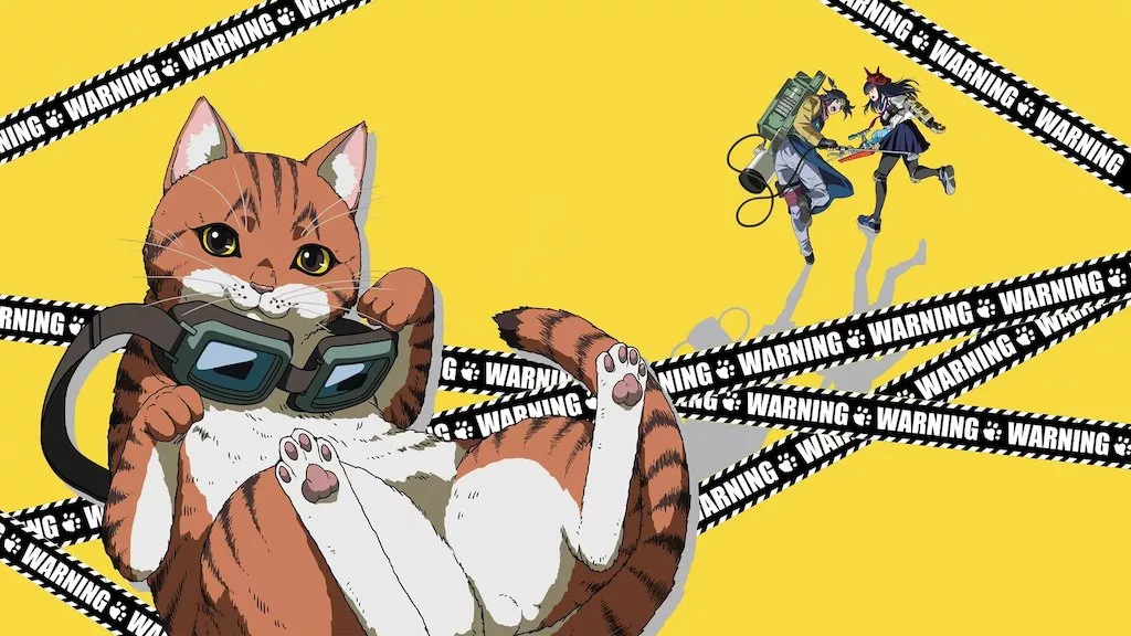 Background
