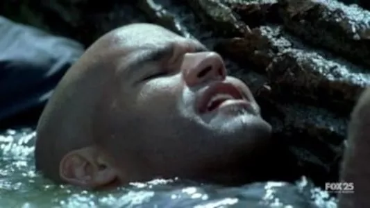Image Prison Break 8