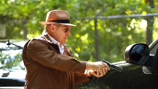 Image The Blacklist 5