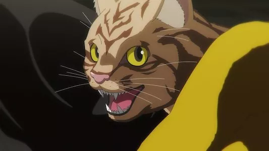 Image Nyaito obu za Ribingu Kyatto 1