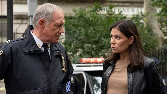 Image Ley y orden (Law & Order) 8