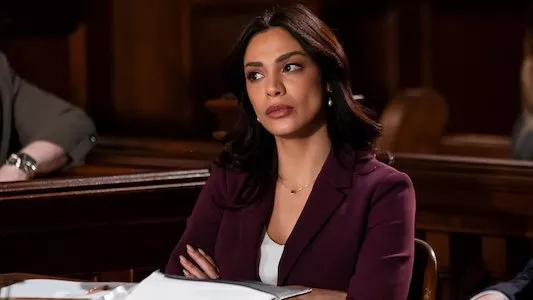 Image Ley y orden (Law & Order) 13