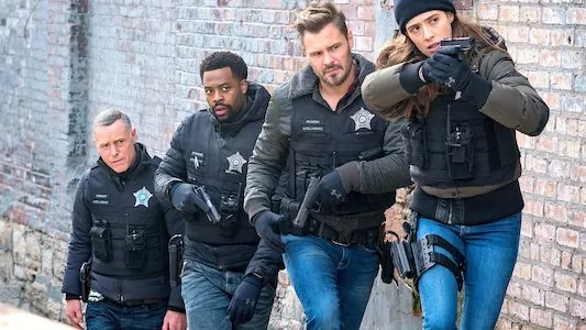 Image Chicago P.D. 4