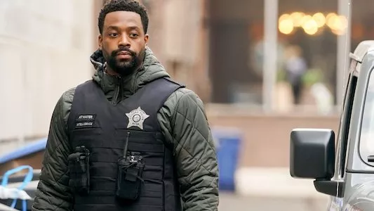 Image Chicago P.D. 14
