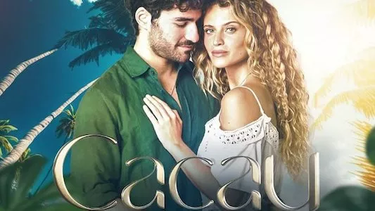 Image Cacao 11