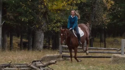 Image Heartland 10