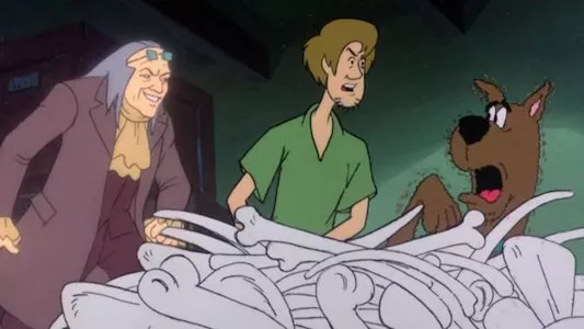 Image El show de Scooby-Doo 16