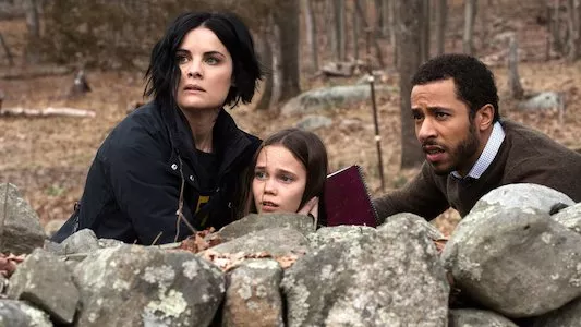 Image Blindspot 20